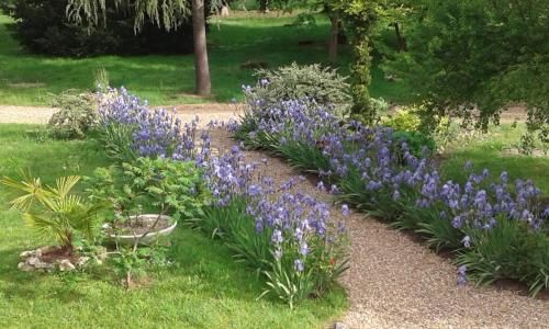 Hostellerie le Clos du Cher 2