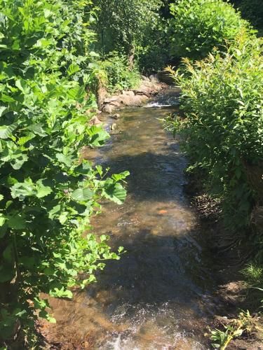 La Roseraie Biebler 2