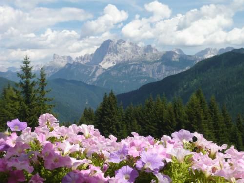 Residence Panorama 2