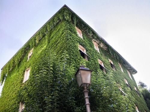 Hotel MariaLetizia 2