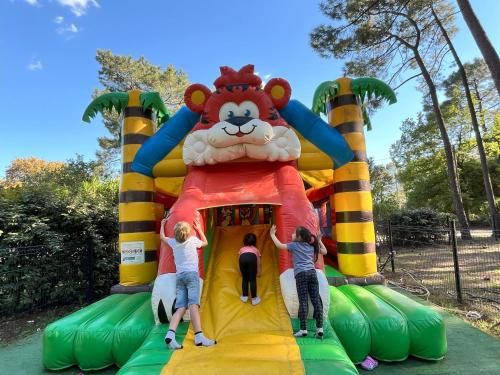 Camping la Simioune en Provence 3