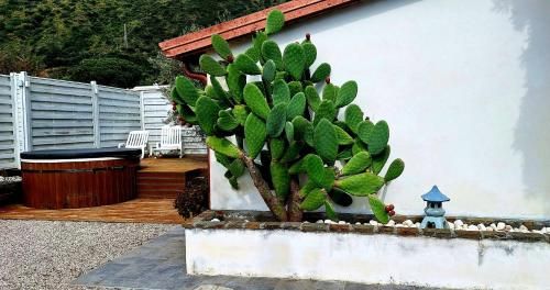 Hotel e Residence Il Faro Acciaroli 2