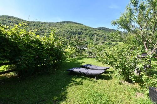 Pâquerettes - Maison avec Jardin et Parking 3