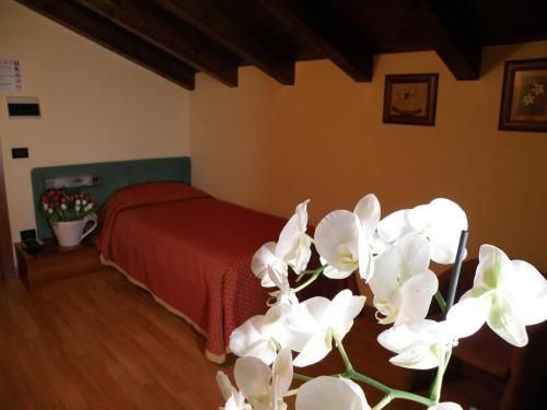 Hotel Villa Monica 3