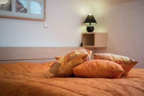 Apartments Moravske Toplice 3