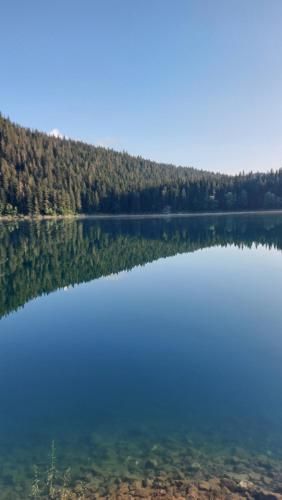 Guest House Milena 3