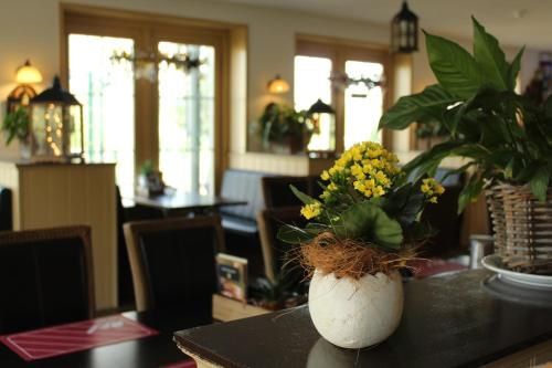 de Brabantse Biesbosch 2