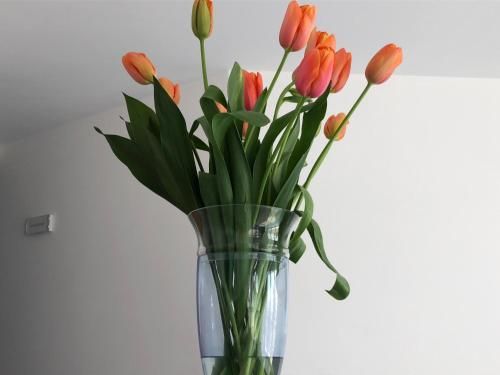 Hotel Corallo Circeo 2