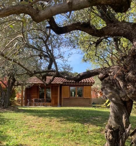 Au Pays de Cocagne 2