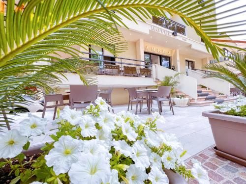 Ambra Hotel Cattolica 3 estrellas en Cattolica