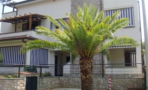 Residence Il Cardellino 3