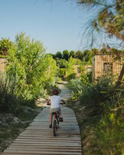 Sauvage 4 estrelas em Quiberon