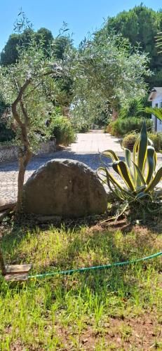 Affittacamere Villa Brazzano 3