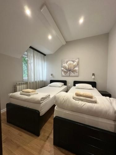 Apartments & Accommodation Stojic 2