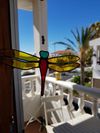 The Magic Dragonfly!+Entrada Loro Parque