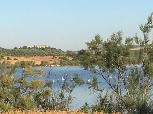 Room in Villa - Beautiful Accommodation At The Heart Of Andalusia 2