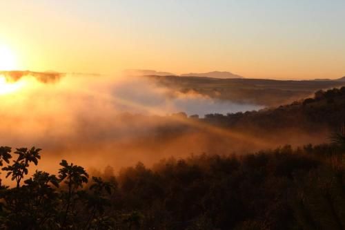 Room in Villa - Beautiful Accommodation At The Heart Of Andalusia 3