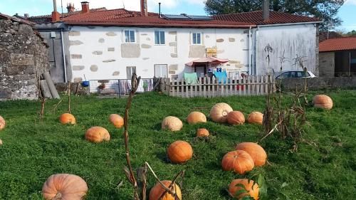 Albergue a Casina di Marcello -1 estrellas en Palas de Rei