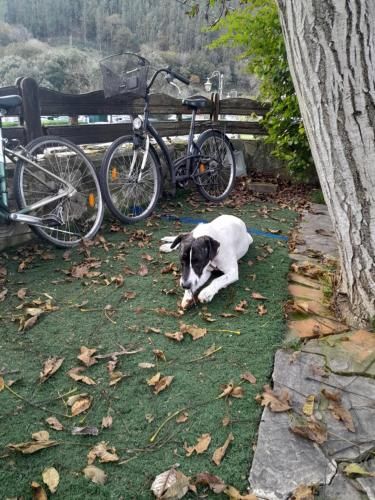 Posada Rincón del Pas 3