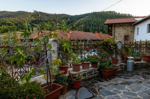 Posada Villa Matilde 3