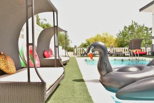 Kiwidestiny Alicante 1