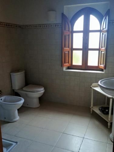 Trisileja en Novales 2