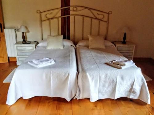 Trisileja en Novales 3