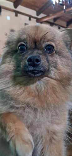 ALBERGUE peregrinos CASAFLOR 3