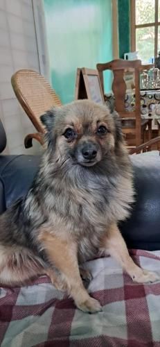 ALBERGUE peregrinos CASAFLOR 2