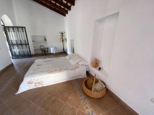 Room in Farmhouse - Loft under the magnolio with a private terrace 1