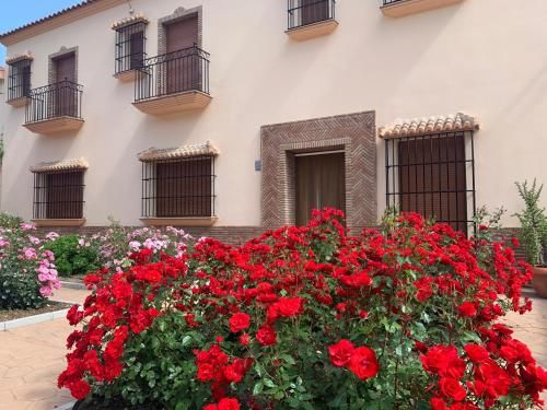 Habitaciones rurales Venta Pedro 3