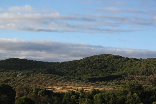 El Palacio de San Benito 3