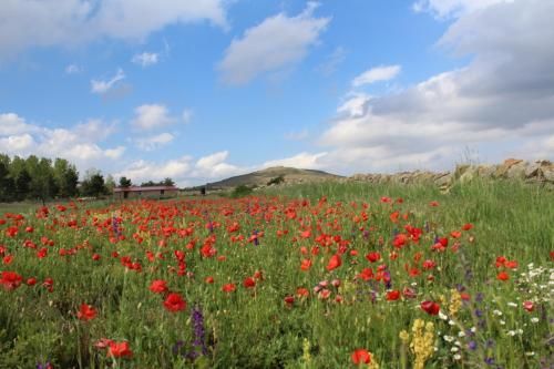 Apartamento Naturaleza 3