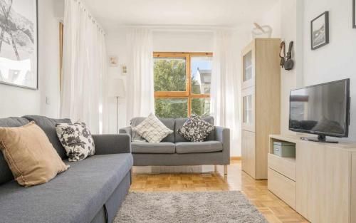 Selva Blanca de Villanua 1