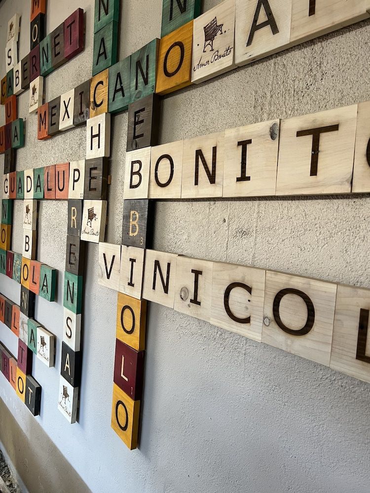 Ecovino Valle de Guadalupe 3