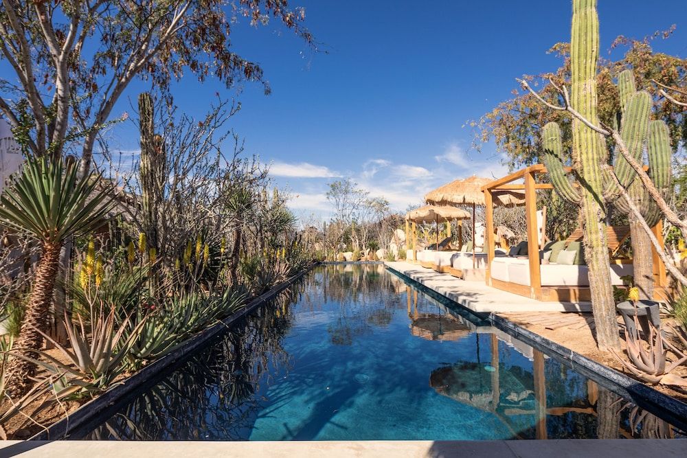El Perdido Desert Dream - Todos Santos Adults Only