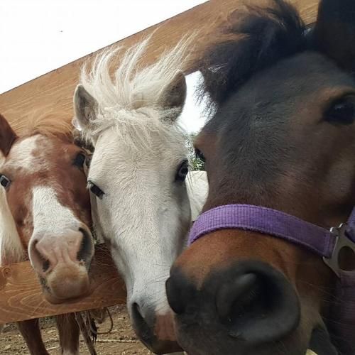 Agriturismo Seaview 2