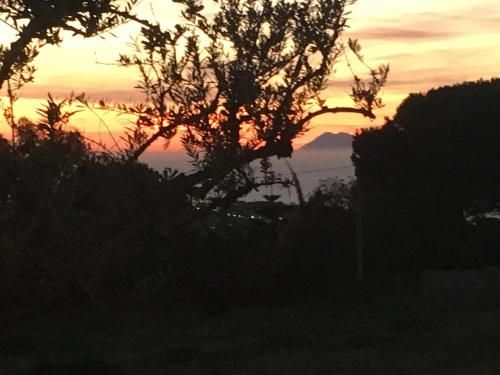 Agriturismo Seaview 3 étoiles à Ricadi