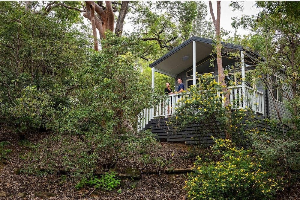 Discovery Parks - Lane Cove 1