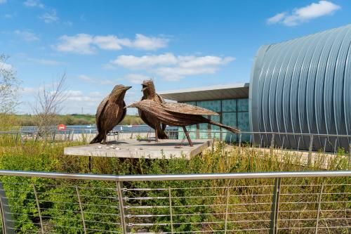 Chestnut Contractor Stays 2