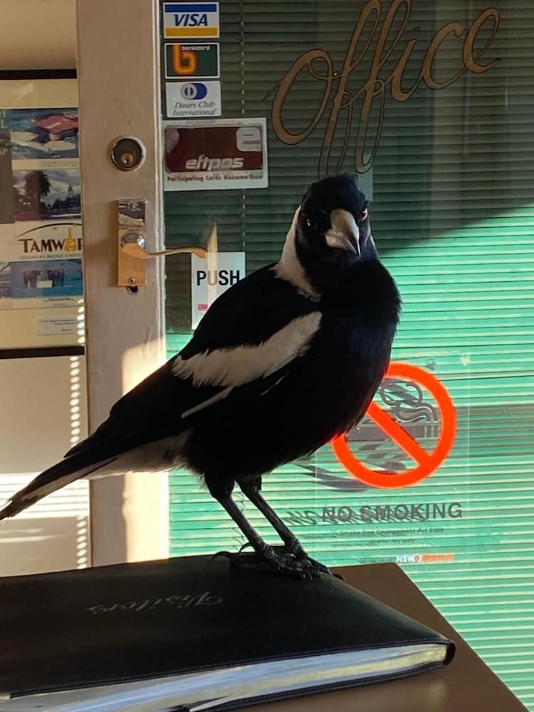 Ben Hall Motor Inn 2