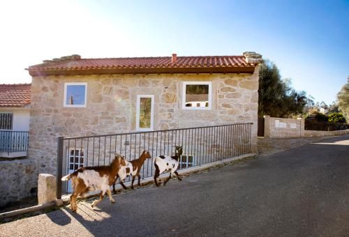 Tio Zé - Casas de Selim 4 estrelas em Arcos de Valdevez