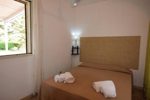 L'Araucaria turismo rurale 2