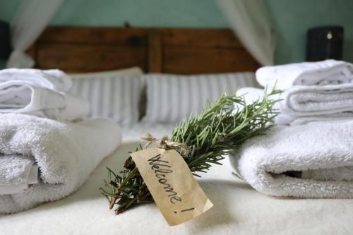 Tra i Campi Di Papaveri 3