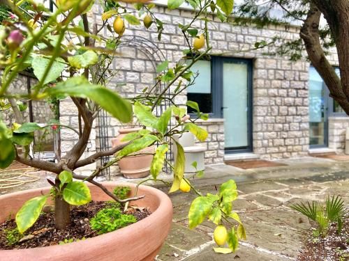 Le due palme Bed & Breakfast 3