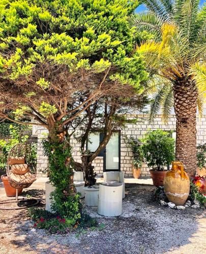 Le due palme Bed & Breakfast 2