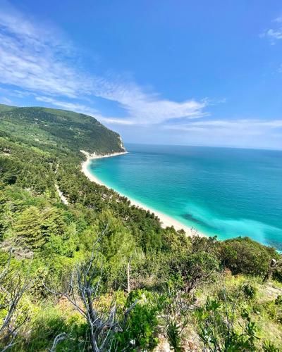 Le due palme Bed & Breakfast 1