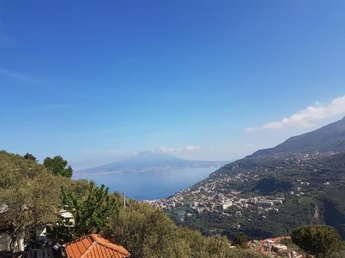 Bed And Breakfast Sunflower 3