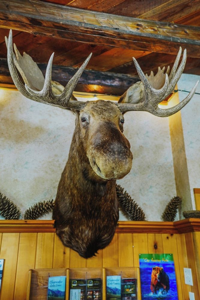 Helmcken Falls Lodge 3