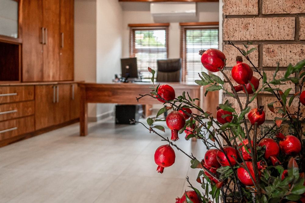 Camelot Guest House & Apartments 3